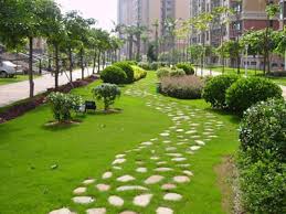 2026美加墨世界杯官网 岳阳城市绿化常用的植物和花